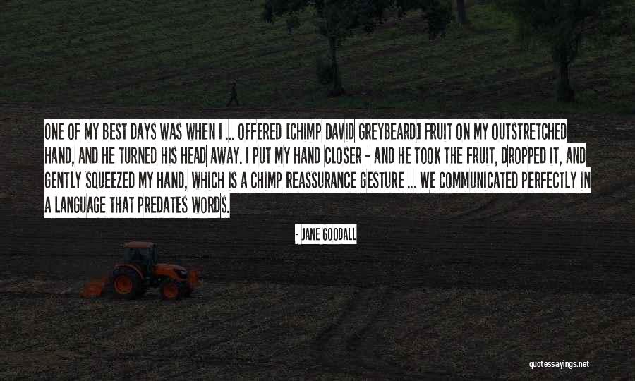 Reassurance Quotes By Jane Goodall Reassurance Quotes By Jane Goodall