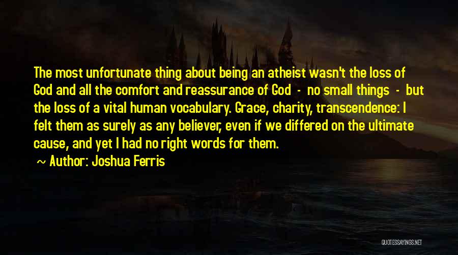 Reassurance Quotes By Joshua Ferris