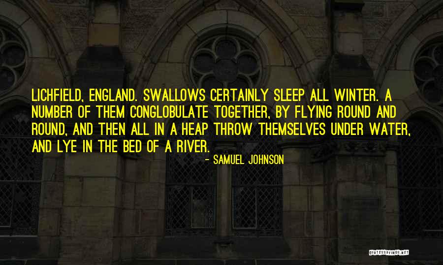 Rebasado Dental Quotes By Samuel Johnson Rebasado Dental Quotes By Samuel Johnson