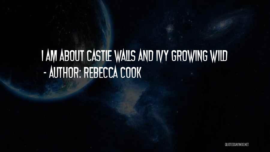 Rebecca Cook Quotes 1578122