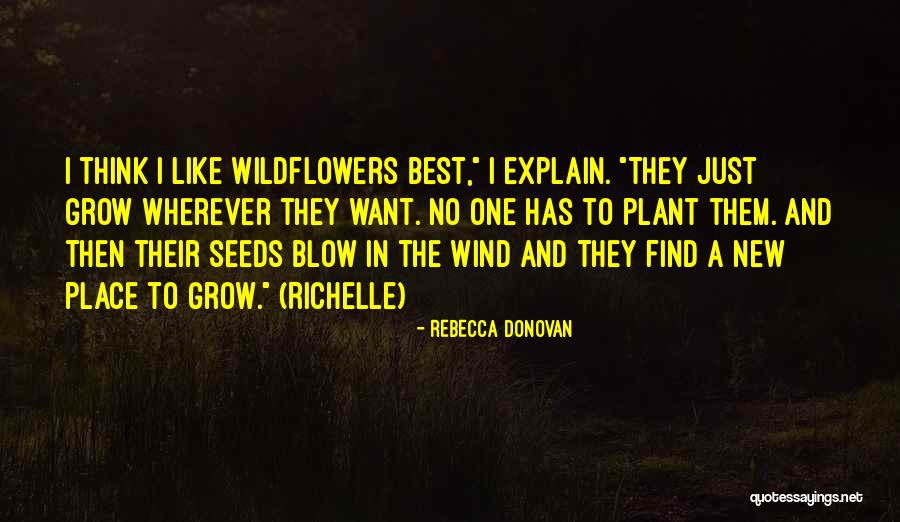 Rebecca Donovan Quotes 1148737