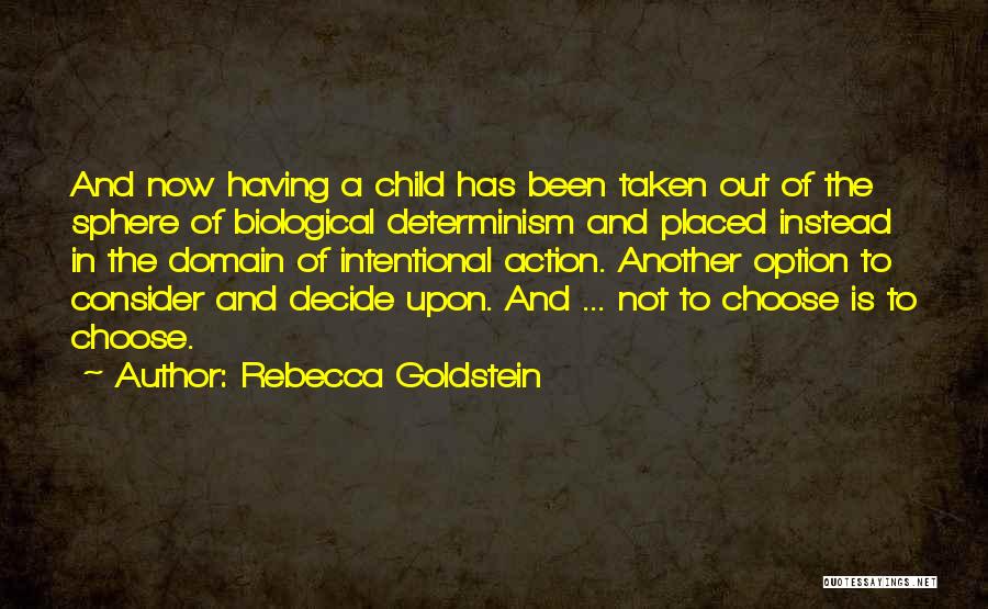 Rebecca Goldstein Quotes 1158583