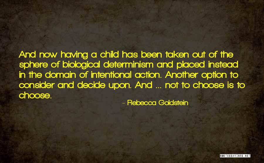 Rebecca Goldstein Quotes 1158583