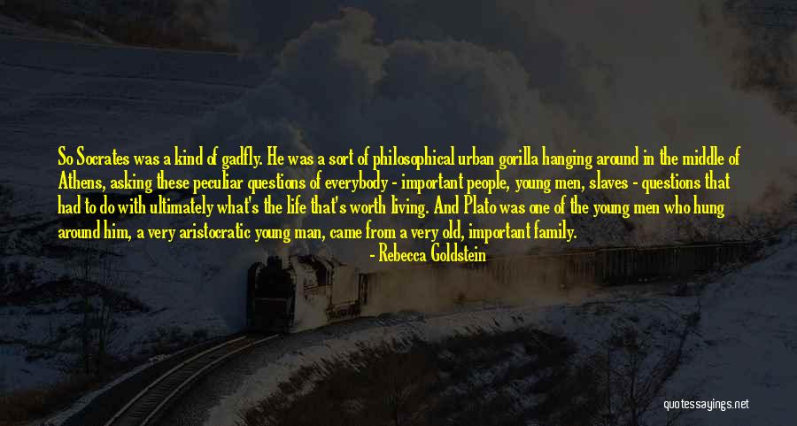 Rebecca Goldstein Quotes 1245293 Rebecca Goldstein Quotes 1245293