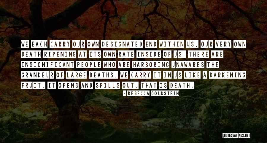 Rebecca Goldstein Quotes 1304972 Rebecca Goldstein Quotes 1304972