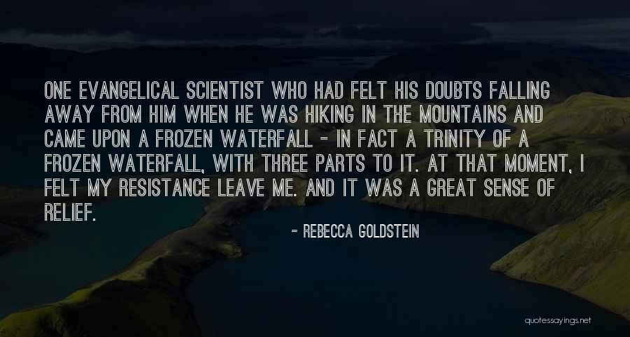 Rebecca Goldstein Quotes 325452