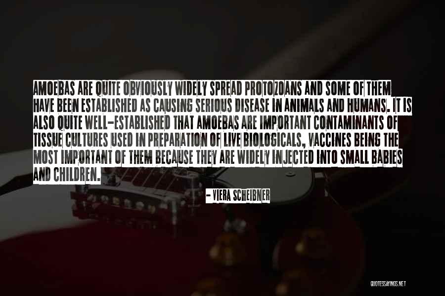 Rebel Reader Quotes By Viera Scheibner Rebel Reader Quotes By Viera Scheibner