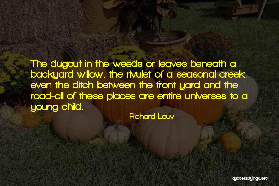 Rebellence Quotes By Richard Louv Rebellence Quotes By Richard Louv