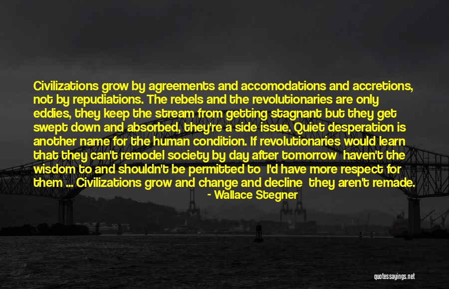 Rebellion And Revolution Quotes By Wallace Stegner Rebellion And Revolution Quotes By Wallace Stegner
