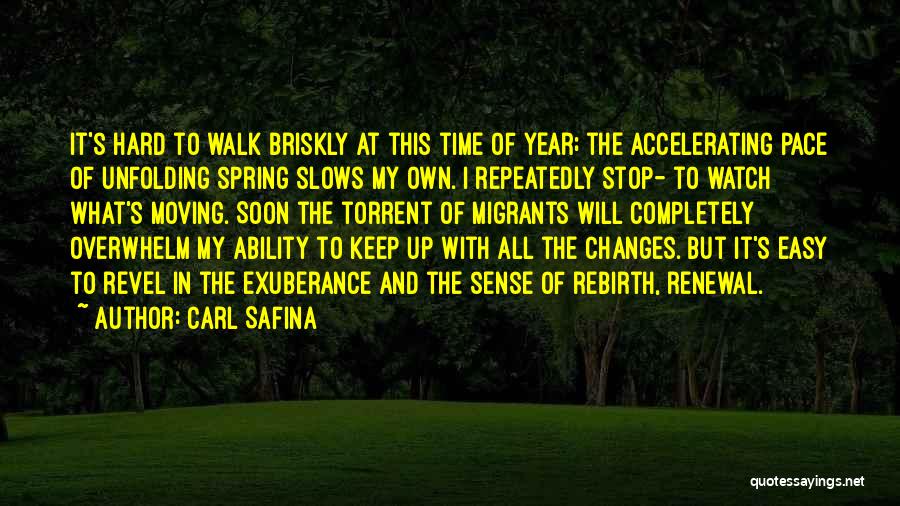 Rebirth And Spring Quotes By Carl Safina