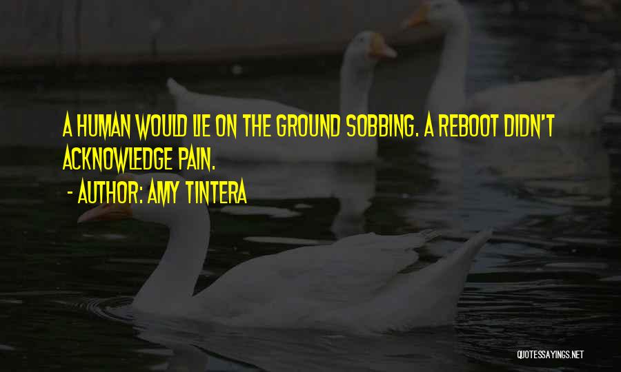 Reboot Amy Tintera Quotes By Amy Tintera