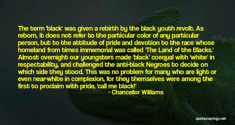 Reborn Quotes By Chancellor Williams