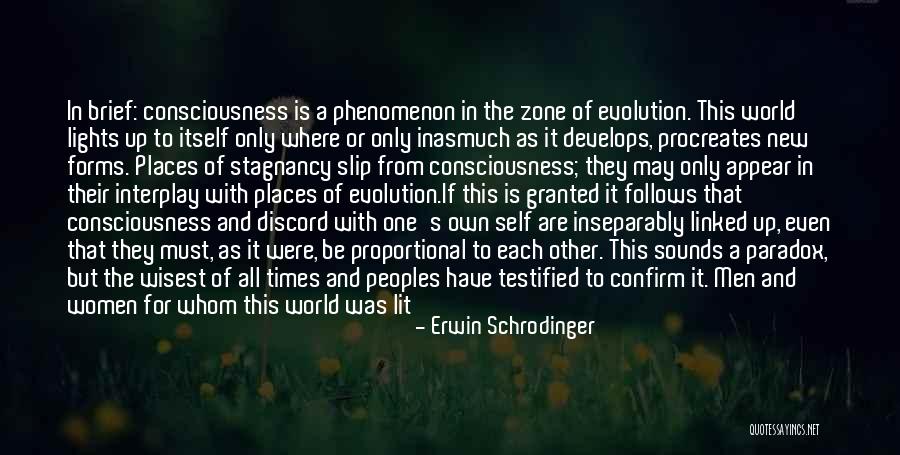 Rebound Chicks Quotes By Erwin Schrodinger Rebound Chicks Quotes By Erwin Schrodinger