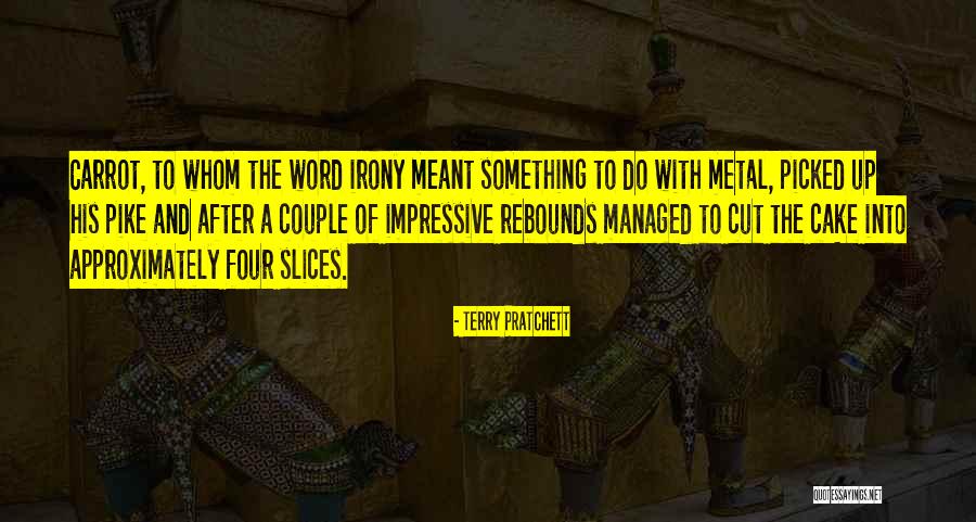 Rebounds Quotes By Terry Pratchett