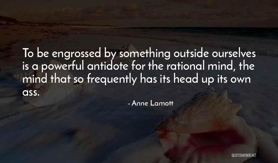 Rebuffed Marble Quotes By Anne Lamott Rebuffed Marble Quotes By Anne Lamott
