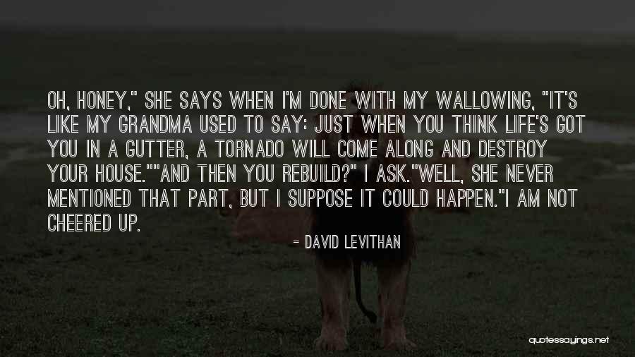 Rebuild Inspirational Quotes By David Levithan Rebuild Inspirational Quotes By David Levithan