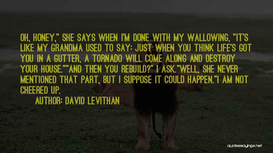 Rebuild Life Quotes By David Levithan
