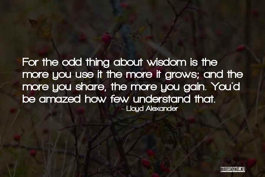 Rebwar Abdulla Quotes By Lloyd Alexander Rebwar Abdulla Quotes By Lloyd Alexander