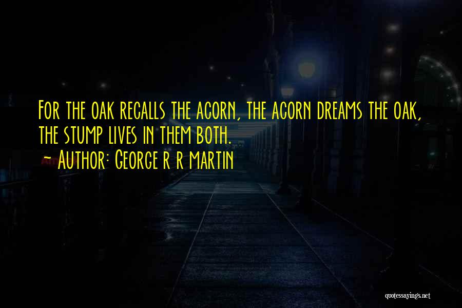 Recalls Quotes By George R R Martin
