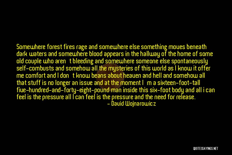 Recapitulate In A Sentence Quotes By David Wojnarowicz Recapitulate In A Sentence Quotes By David Wojnarowicz