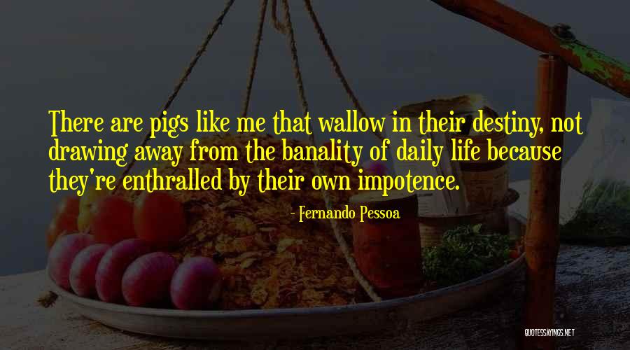 Recapitulated Report Quotes By Fernando Pessoa