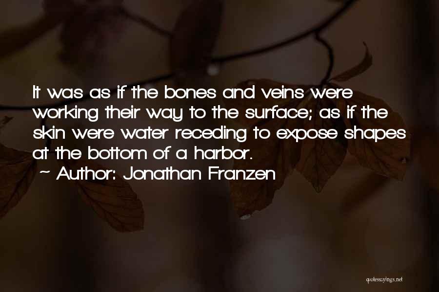 Receding Quotes By Jonathan Franzen