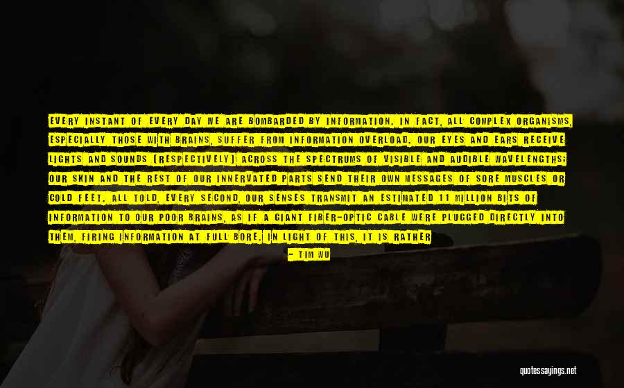 Receive But Cannot Send Quotes By Tim Wu