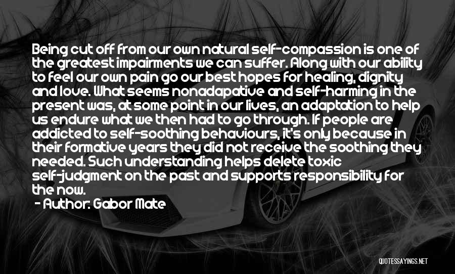 Receive Present Quotes By Gabor Mate