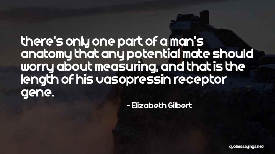 Receptor Quotes By Elizabeth Gilbert Receptor Quotes By Elizabeth Gilbert