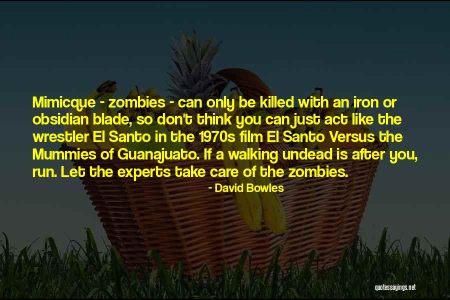 Rechterlijke Machtiging Quotes By David Bowles Rechterlijke Machtiging Quotes By David Bowles