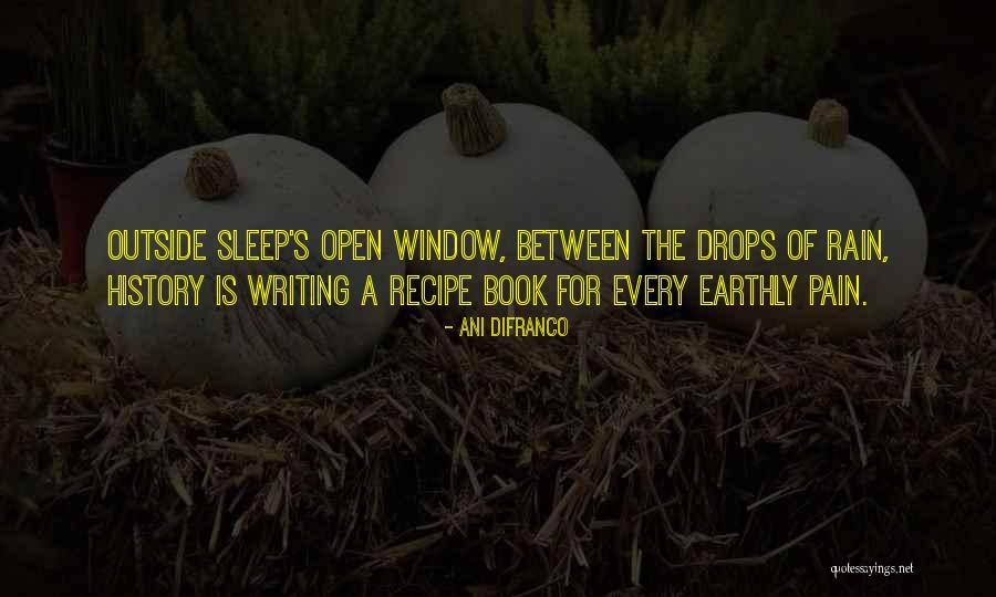 Recipe Book Quotes By Ani DiFranco Recipe Book Quotes By Ani DiFranco