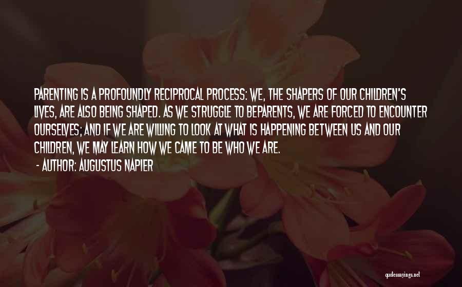 Reciprocal Quotes By Augustus Napier