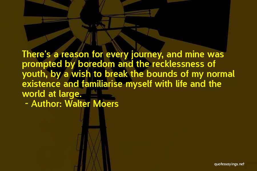 Recklessness Quotes By Walter Moers