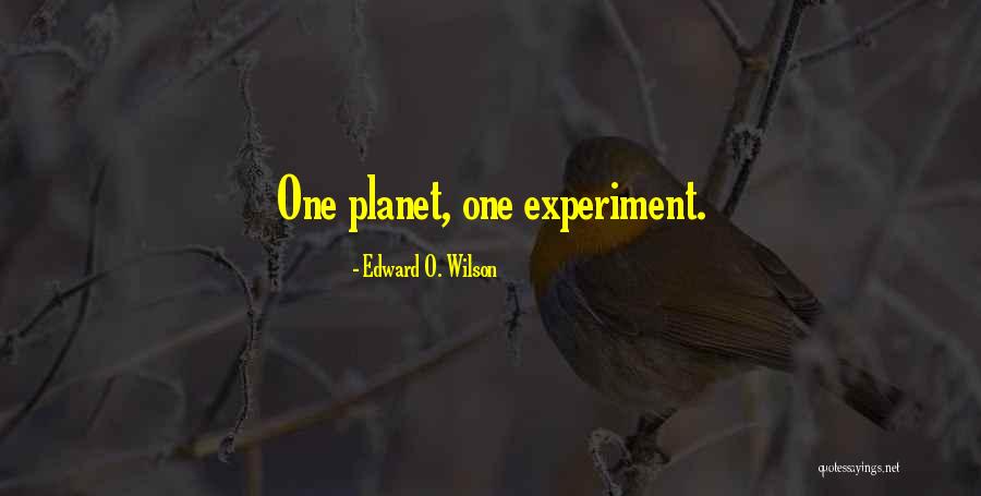 Reclusione Significato Quotes By Edward O. Wilson