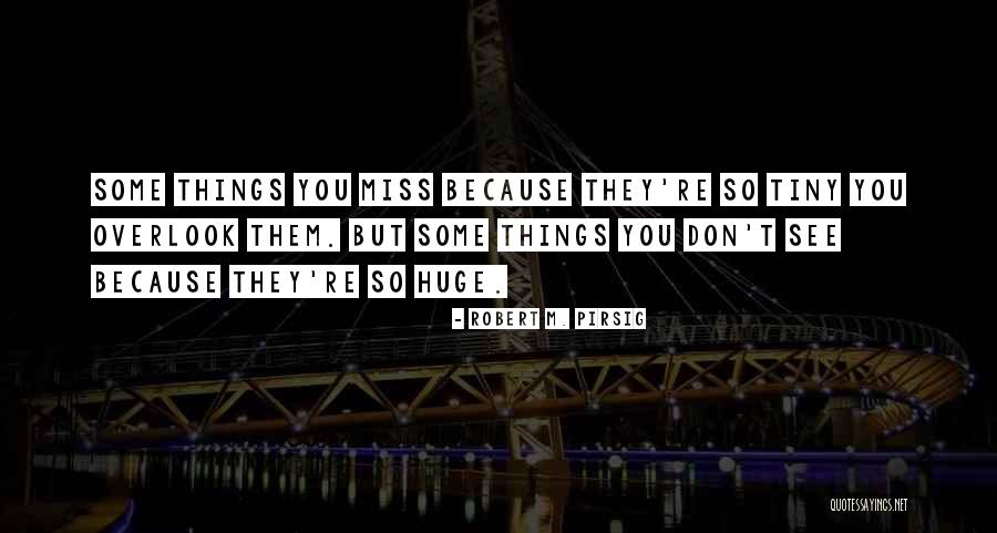 Reclusione Significato Quotes By Robert M. Pirsig
