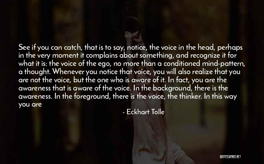 Recognize What You See Quotes By Eckhart Tolle