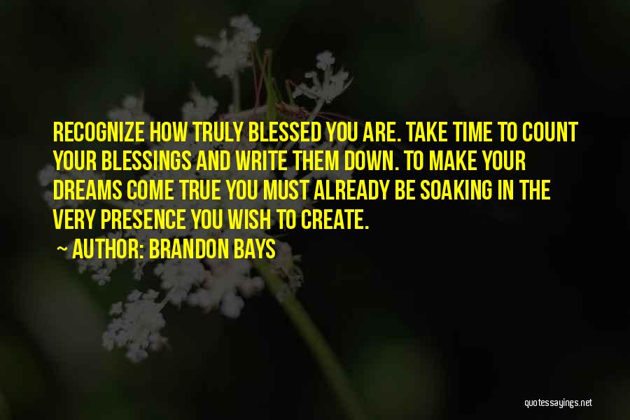 Recognize Your Blessings Quotes By Brandon Bays