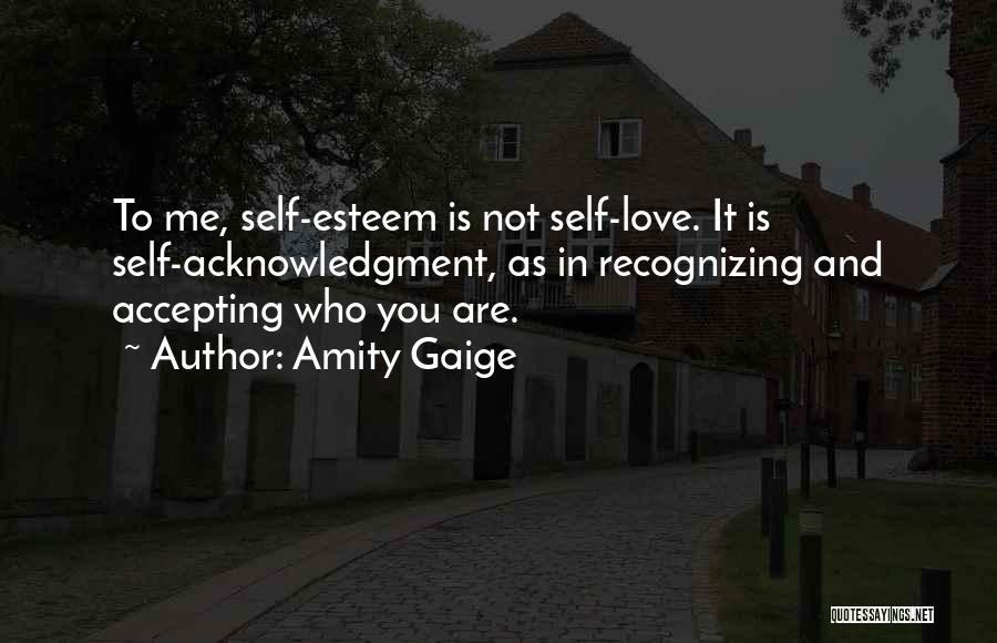 Recognizing Quotes By Amity Gaige