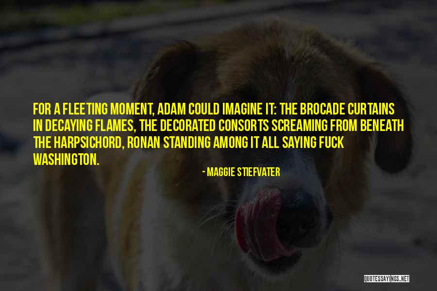 Recombination Quotes By Maggie Stiefvater Recombination Quotes By Maggie Stiefvater