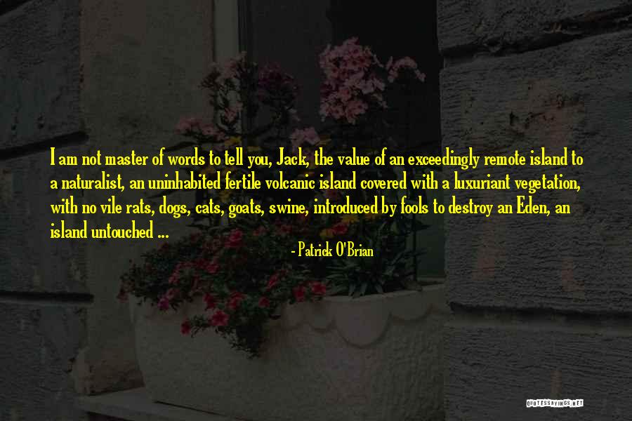 Reconceptualization Curriculum Quotes By Patrick O'Brian Reconceptualization Curriculum Quotes By Patrick O'Brian