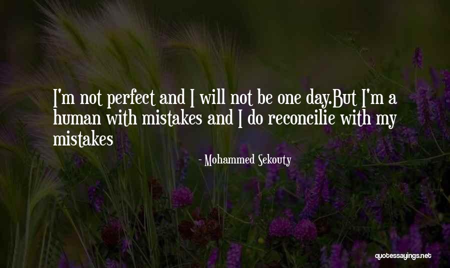 Reconcilie Quotes By Mohammed Sekouty Reconcilie Quotes By Mohammed Sekouty