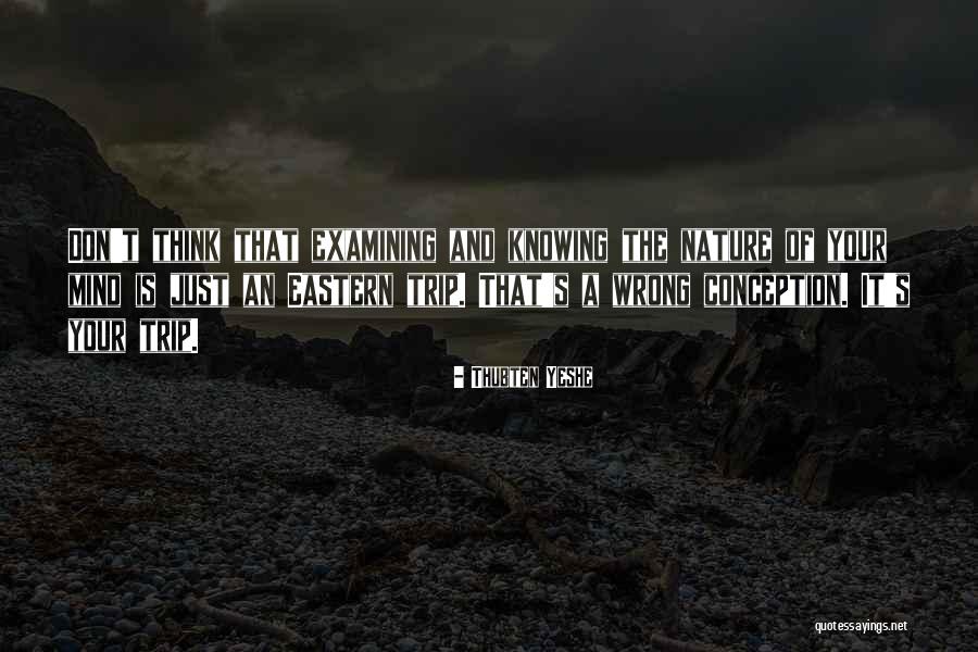 Reconhecer Namorado Quotes By Thubten Yeshe Reconhecer Namorado Quotes By Thubten Yeshe