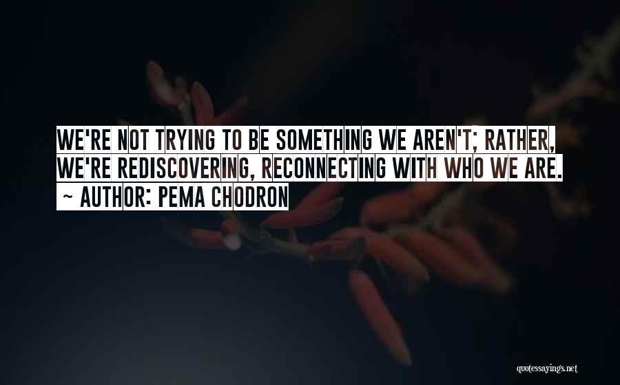 Reconnecting With Someone Quotes By Pema Chodron