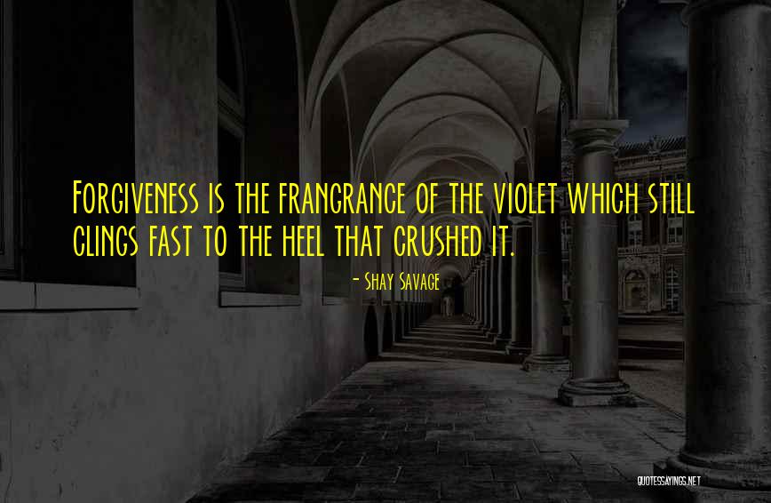 Reconnoitre Define Quotes By Shay Savage Reconnoitre Define Quotes By Shay Savage