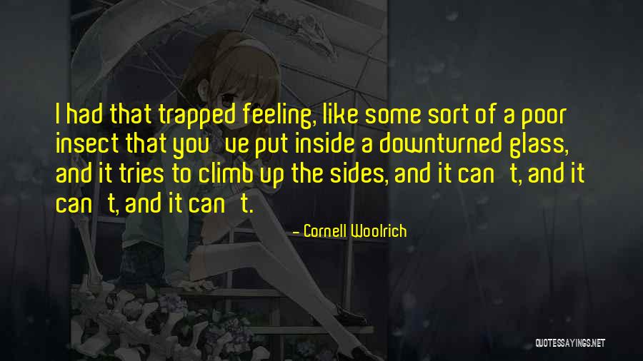 Reconocido Chef Quotes By Cornell Woolrich Reconocido Chef Quotes By Cornell Woolrich