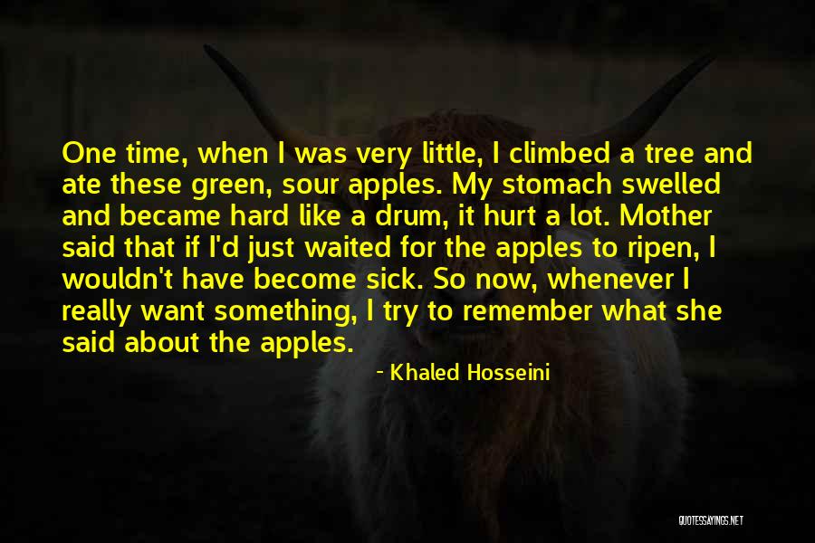 Reconocido Chef Quotes By Khaled Hosseini Reconocido Chef Quotes By Khaled Hosseini