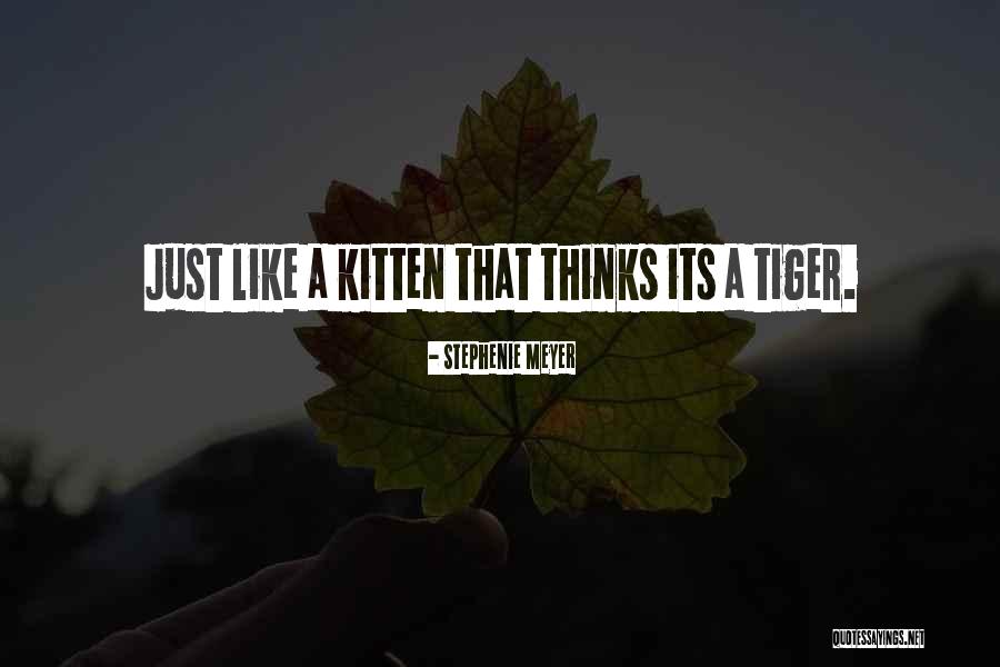 Reconocido Chef Quotes By Stephenie Meyer Reconocido Chef Quotes By Stephenie Meyer
