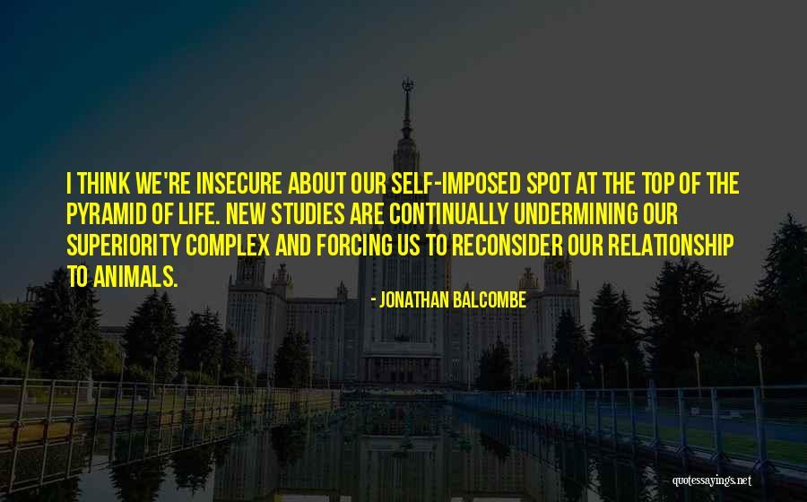 Reconsider Relationship Quotes By Jonathan Balcombe Reconsider Relationship Quotes By Jonathan Balcombe