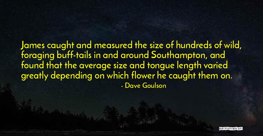 Reconsidering My Opposition Quotes By Dave Goulson Reconsidering My Opposition Quotes By Dave Goulson