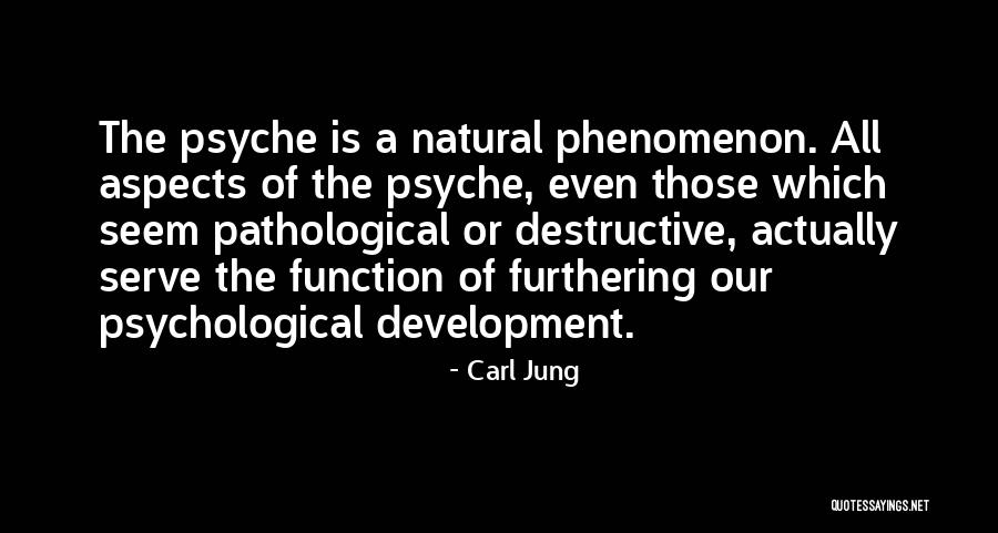 Recontextualization Photography Quotes By Carl Jung Recontextualization Photography Quotes By Carl Jung